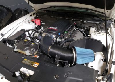 d mark performance custom intake 2012 white 1024